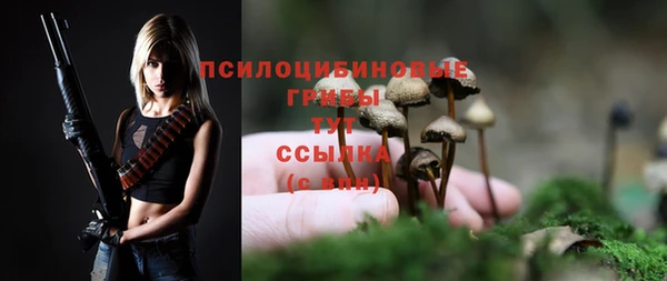apvp Лагань