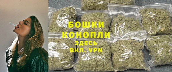 дурь Лабытнанги