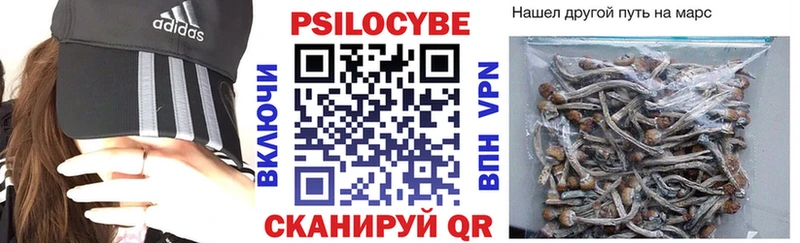 Галлюциногенные грибы MAGIC MUSHROOMS  даркнет сайт  Жирновск 